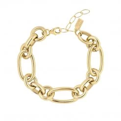 Electric Picks Accessories The Eden Link In Gold